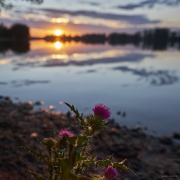 Sonnenaufgang Silbersee, Romantisch, Farben, Sunrise, Lake, See, Sonne, Sun, Clouds, Wolken, Strand, Beach, Shadows, Schatten, Contrast, Kontrast