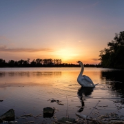 20190422-BW-DSCF5984