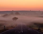 bjoernsviews, Fuji, capture one, bjoerns-views, bjoerns-views.com, Pfalz, Weinberge, Nebel, Sonnenaufgang
