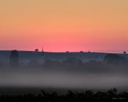 bjoernsviews, Fuji, capture one, bjoerns-views, bjoerns-views.com, Pfalz, Weinberge, Nebel, Sonnenaufgang