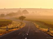 bjoernsviews, Fuji, capture one, bjoerns-views, bjoerns-views.com, Pfalz, Weinberge, Nebel, Sonnenaufgang