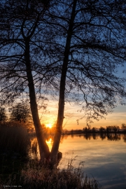 Sonnenuntergang am Niederwiesenweiher